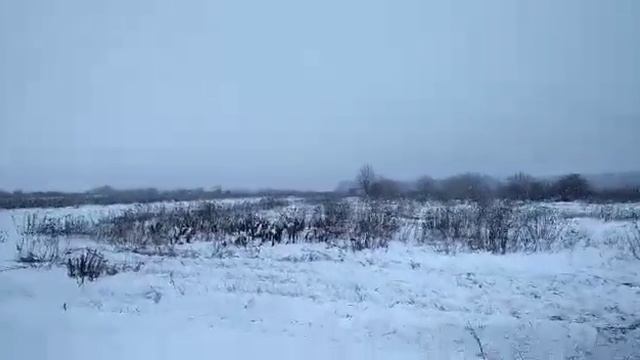 1 февраля 2020 г.