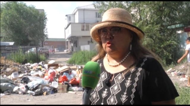 Заросли мусором