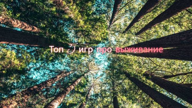 Выживальщик по играм