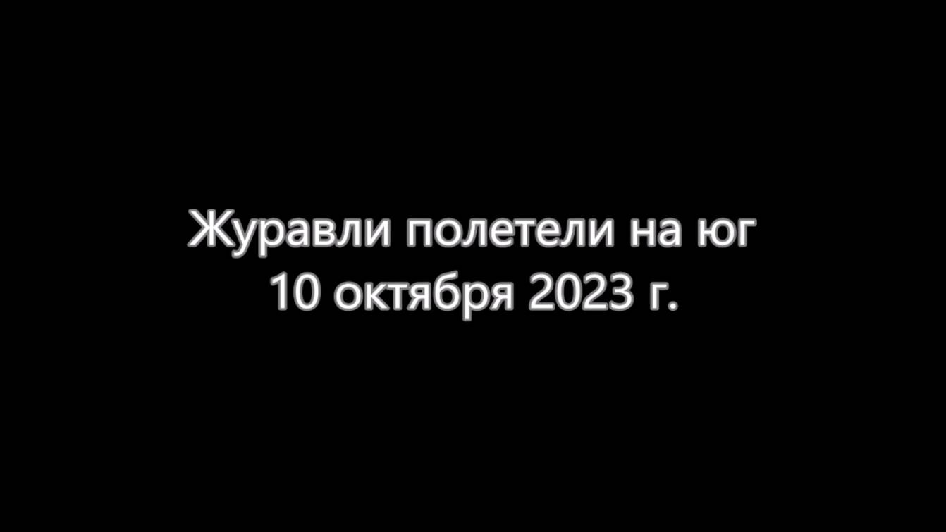 Журавли полетели на юг. 2023 г.