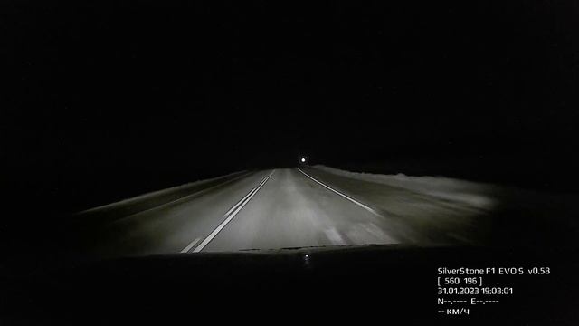 Косуля выбежала на дорогу