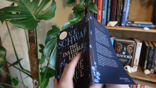 5 star predictions booktube favourites and intimidating reads...