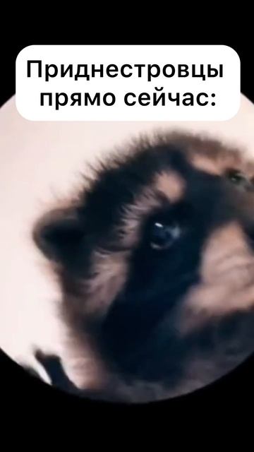 9eae88496cc71849519587c60acf7e7e