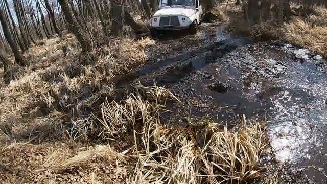 Чемпионат Воронежской области 