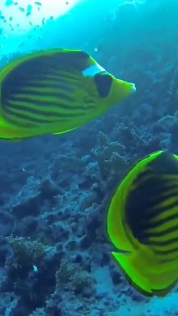 F9f94b13079b3a98b33c572cea49e131