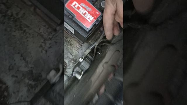 Александр Донецк