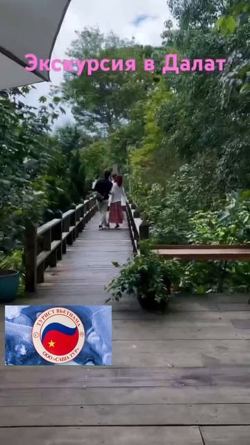 285c26d369f5a8922f5137dea7a3db37