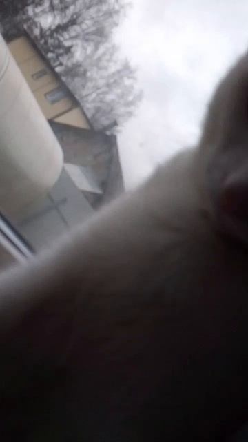 580fe1def0a555cea3d59fcfc3eee889