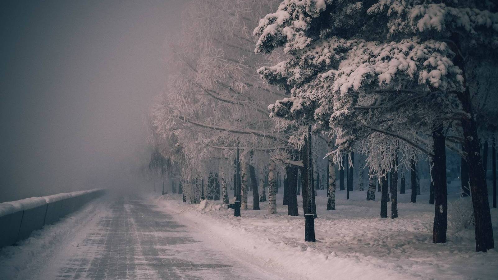 9b8ebe31c493d0c1451b0354aaab40bf