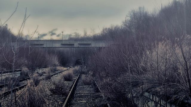 9945d2fcb615a21986df2d1efc5173d0