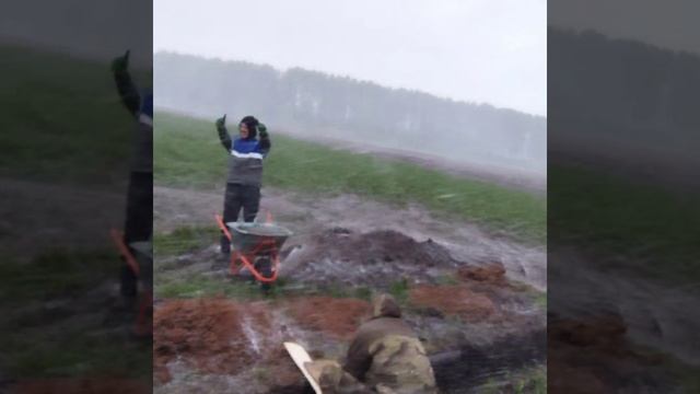 44e424dfbc559645ab28c8b1647c491c