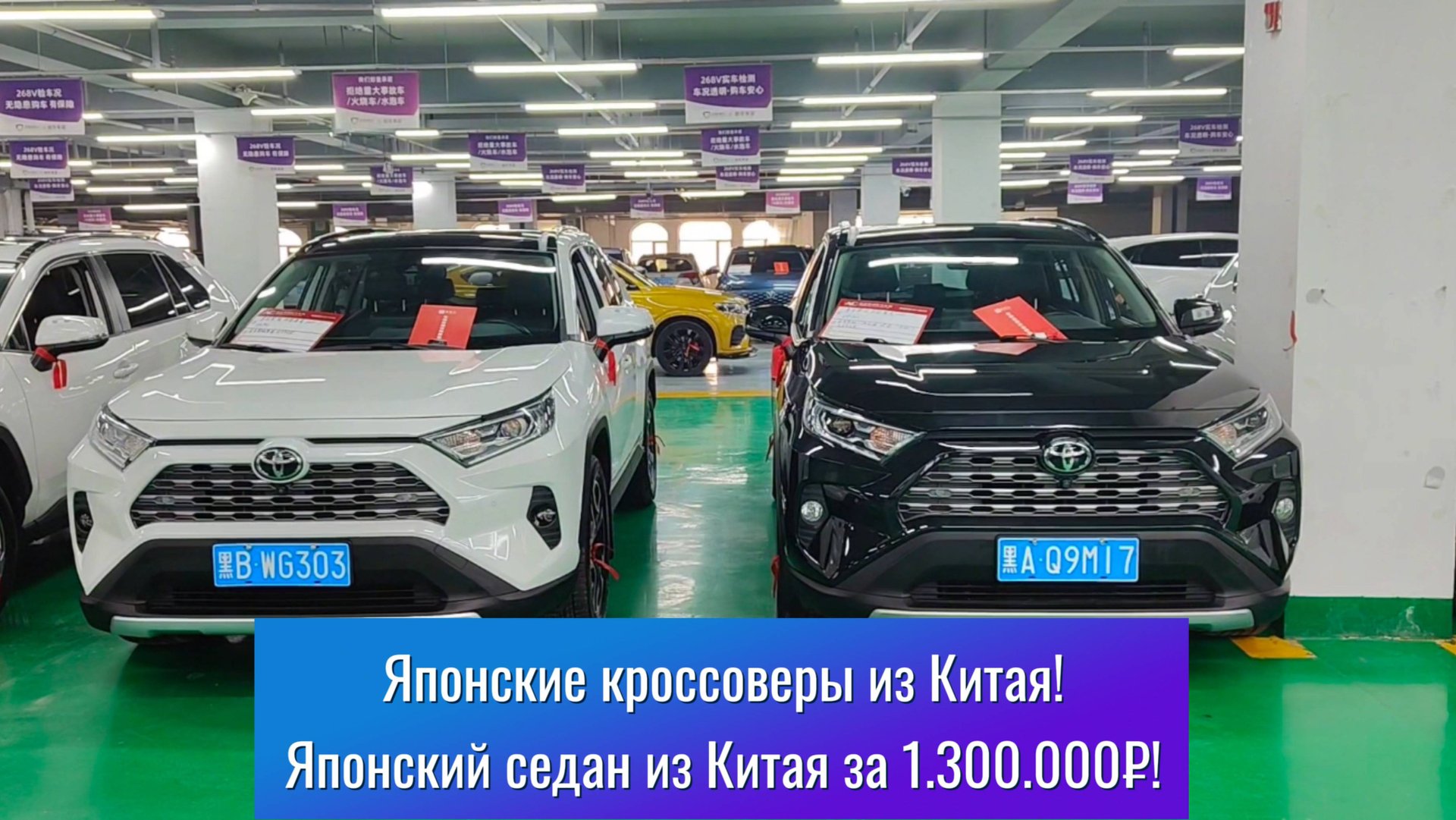 ‼️Лучшие б/у автомобили из Китая! Японские кроссоверы! Европейские модели! Большая собака! г.Харбин