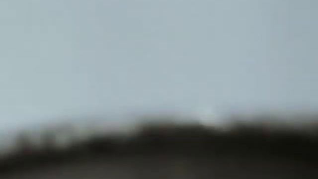 Max Barskin Мир вашему дому