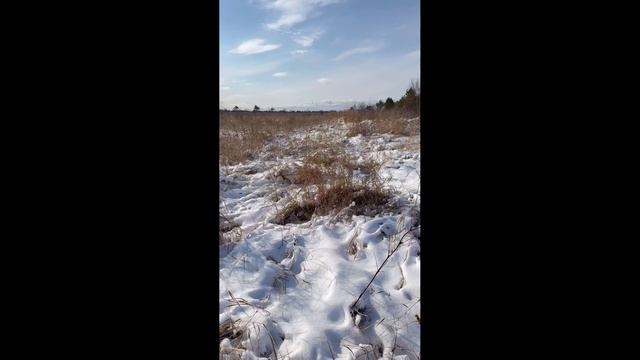 Потерялась я в полях