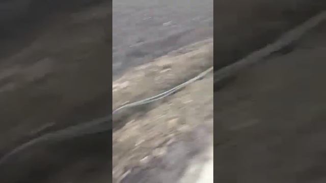 Подготовили траншею под прокладку кабеля. Халтурщики