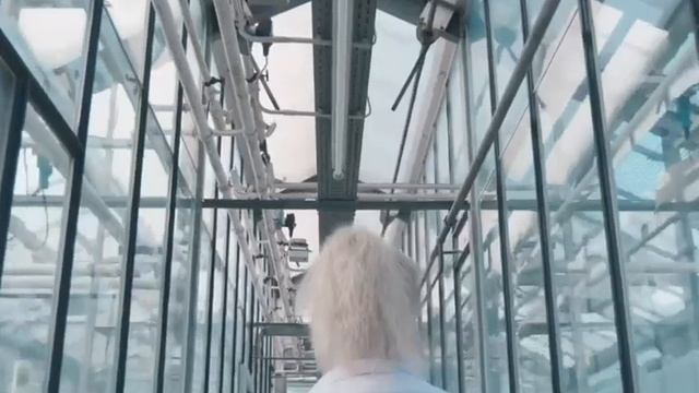 SynTech BioSolutions - New Business Area