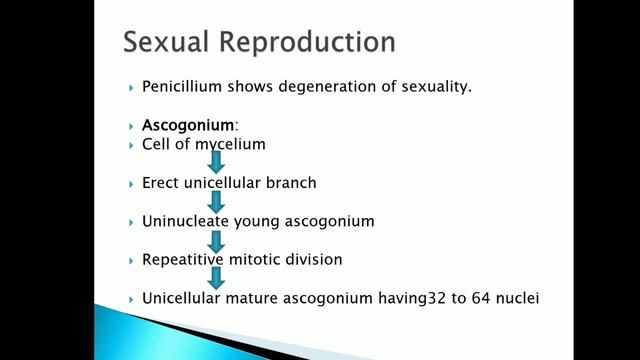 785d5d0373aa48114525c620824784f4