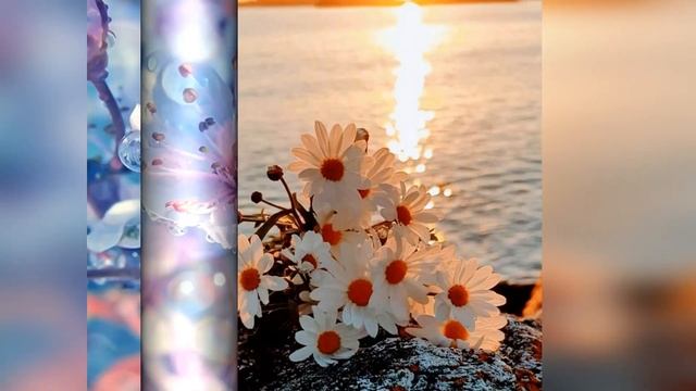 Aa536b9a6ede4ea8d20f7b6008846bf1