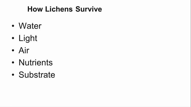 Do Lichens Cause Harm To Trees