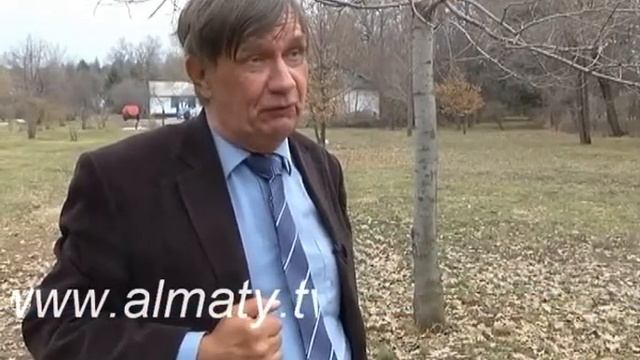 Көгалдандыру