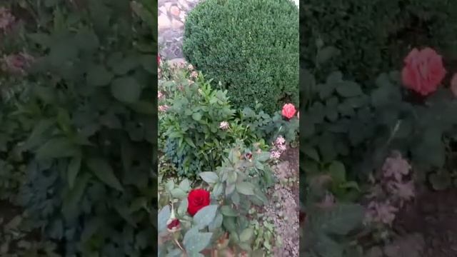 A0fa0203e0ce14b872624cc7a379dbca