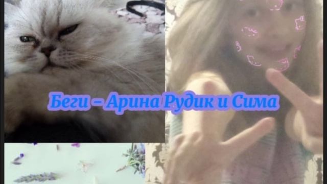 Беги :Арина Рудик и Сима