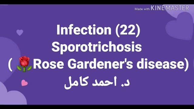 22- Sporotrichosis ( Rose Gardener's Disease ) 👉 Fungal Infection By Dr Ahmed Kamel