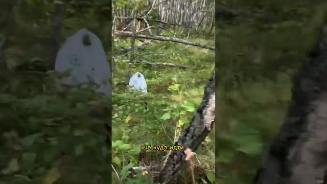 7.08.2022 Орёл. Снаряд. Такое лето 🫶