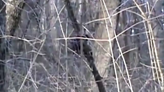 СНЕЖНЫЙ ЧЕЛОВЕК! часть3