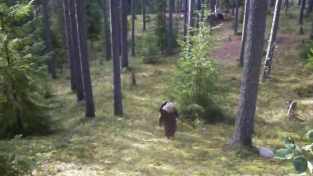 56044b2b08b2dea29471304bd8b25b47