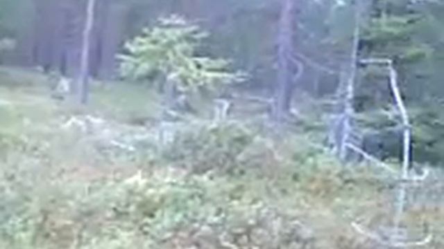 1a1a5dfb03d0cd65847b39e148cb6b8d