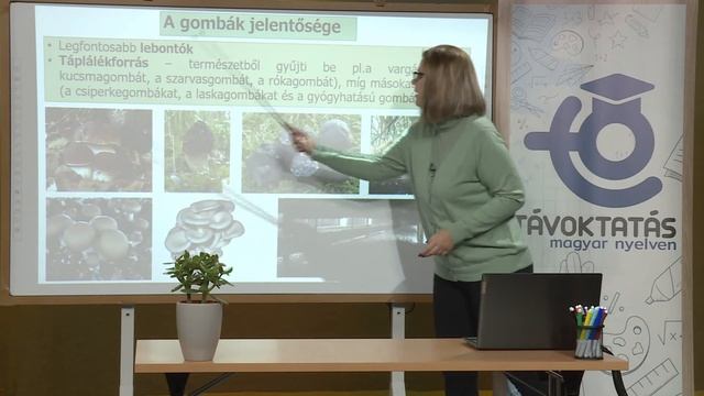 A Gombák és A Zuzmók