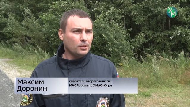 Если вы заблудились в лесу....