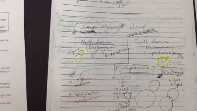 8724588a65ba736bd322069c2d7cfa32