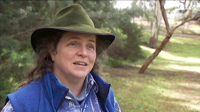 Interesting Facts About Fungi - Behind The News