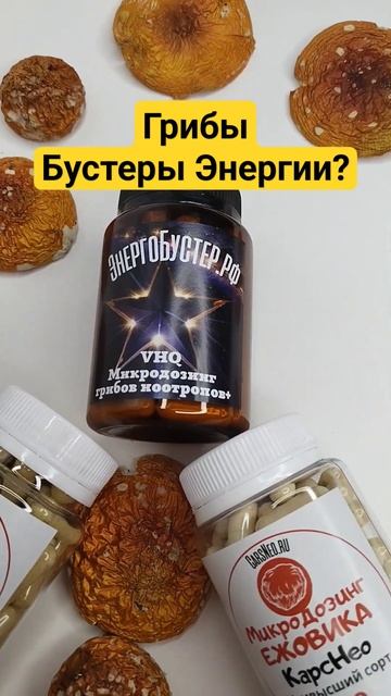 Грибы как энергобустер? #микродозинг #мухомор #ежовик