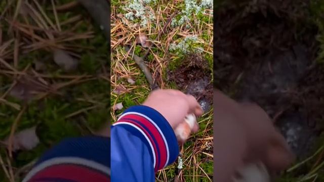 E2a3bac16d6b9f2e35f18ba1d651dc55