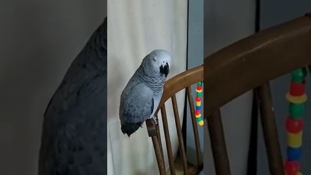 6f1369de1d00a071700d019874752d5f