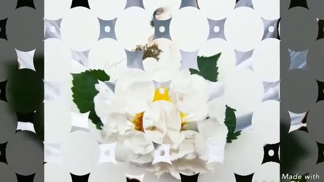 МЕН СЕНІҢ ТЫМ АППАҚ ГҮЛІҢМІН. ПОЭЗИЯ. ЖҰЛДЫЗ БЕЙСЕК.