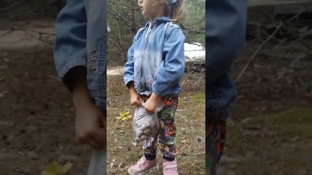 В лес по грибы...