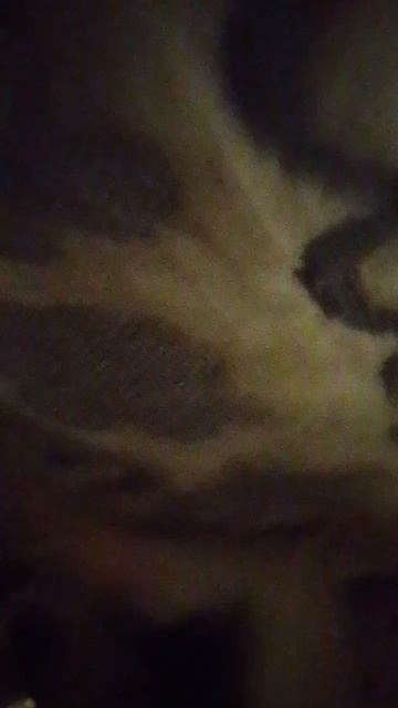 B706eeea24ec6841265abb3a212d8672