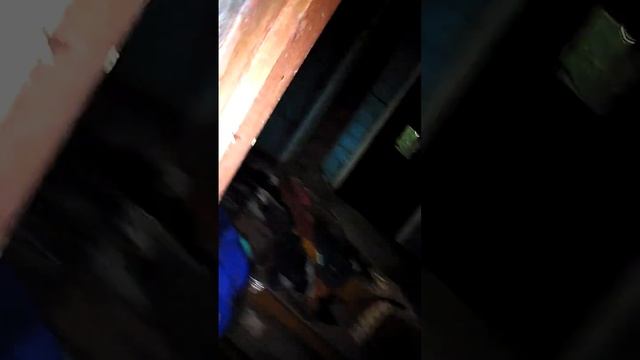 Три Опёнка ходят по забытой людьми деревне.Просиходит что-то странное. Pt.1