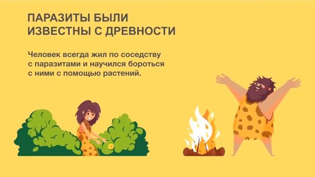 Комплекс от паразитов Парашилд   ЗДОРОВЬЕ КАК ОБРАЗ ЖИЗНИ  Coral Club