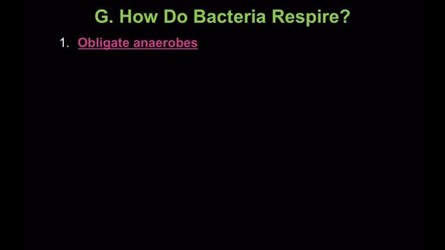 Bacteria Lecture 2013