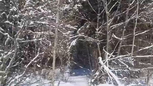 Весенняя история