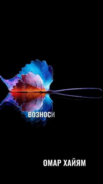 2e4d304950a34051aaeaf75b6c3df541