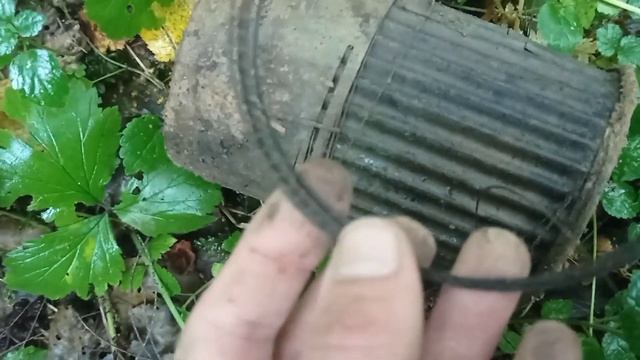Опять ядро, на этот раз небольшое 🤏