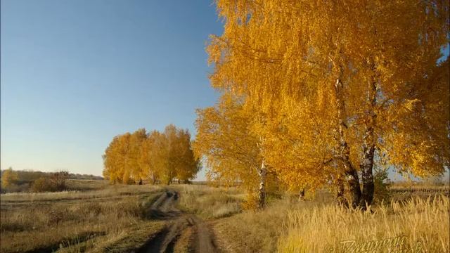 0f73bc6bd970fef251bc159d77234e53