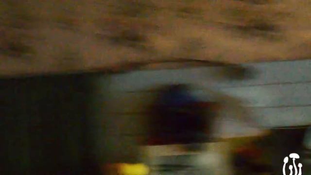 Green Milk Company - подымим (opyata Live)