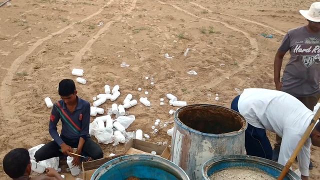 Beneficial Bio Fungus Inoculation Pomegranate